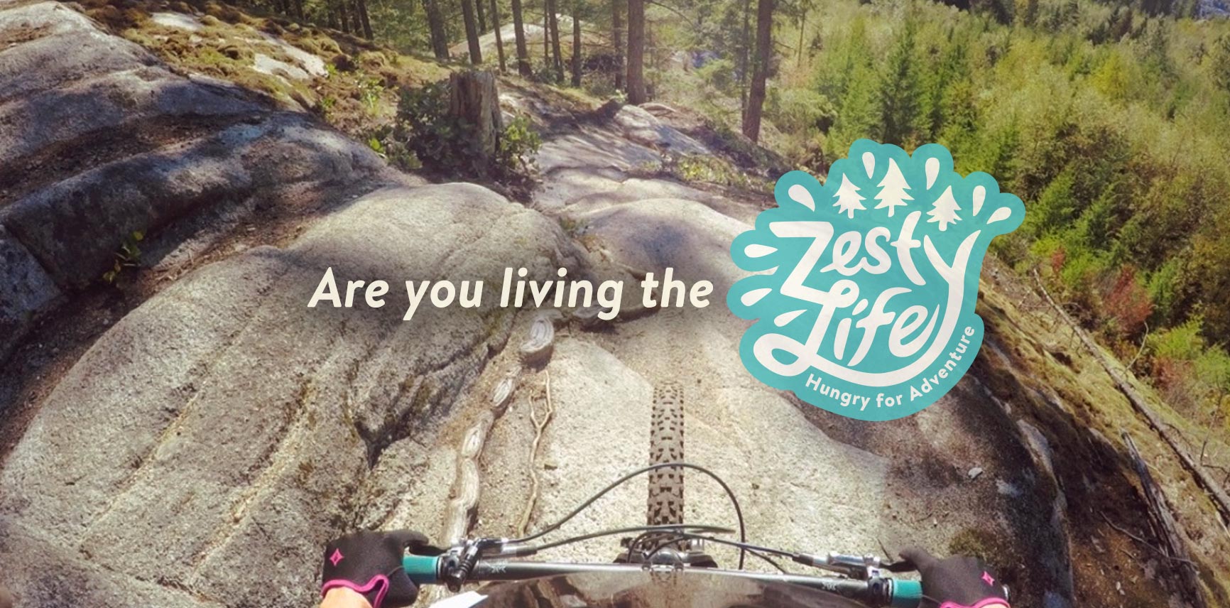 Live-the-Zesty-Life