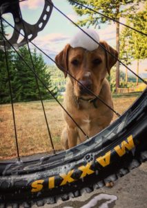 Zesty-Life-Emotional-First-Aid-Maintenance-bike-tips-Adventure-Squamish