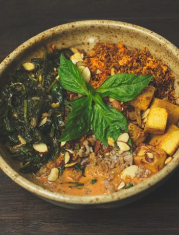 thai-red-curry-bowl-vegan-recipe-zesty-life