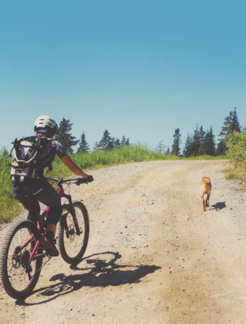 zesty-life-adventures-life-story-choose-your-own-adventure-squamish-mtb