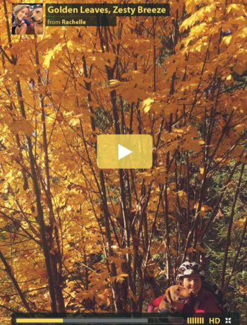 autumn-leaves-colours-squamish-tofino-zestylife