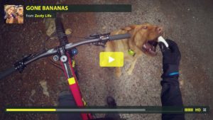 zesty-life-fromme-north-vancouver-mountain-biking-mtb-shore-gone-bananas