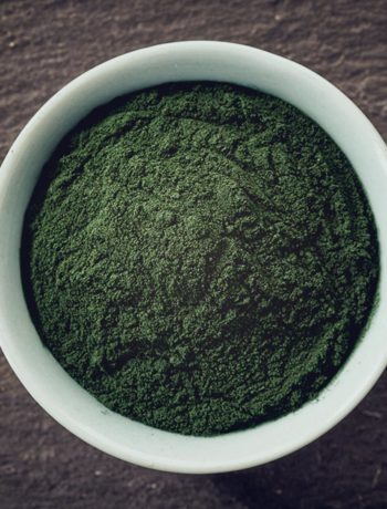 zesty-life-spirulina-powder-plant-protein-iron-superfood-plant-based
