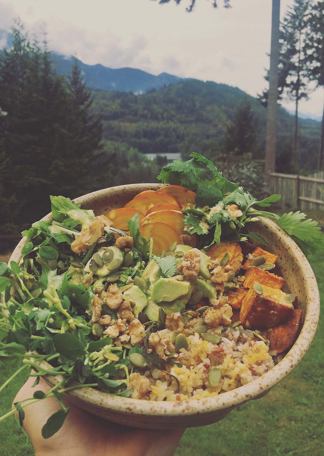 zesty-life-vegan-buddha-bowl-recipes-gluten-free-plant-based-squamish