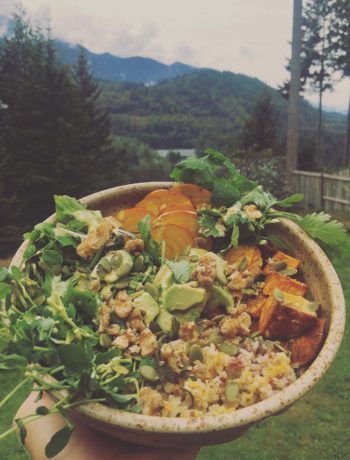 zesty-life-vegan-buddha-bowl-recipes-gluten-free-plant-based-squamish