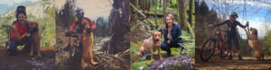 Rachelle-Hynes-friendship-Zesty-Life-Squamish-how-dogs-teach-us-love-mindfulness-Blogger