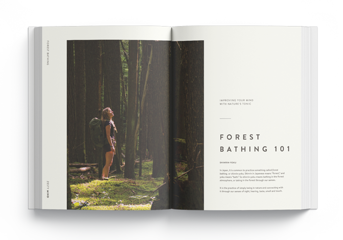 https://zestylife.ca/wp-content/uploads/2019/11/recipes-for-a-zesty-life-forest-bathing-mindfulness.png