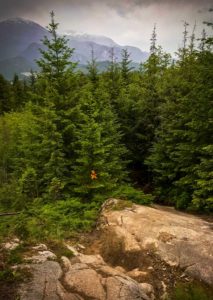 lessons-from-trees--depression-metaphor-squamish-slabs-zesty-life-rachelle