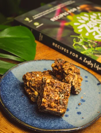 squamish-Cacao-a-Bunga-Energy-Bars-Plant-based-Gluten-Free-Trail-Snack