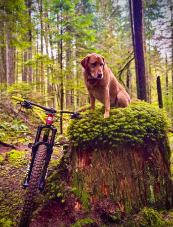 zest-defined-authentic-zestylife-philosophy-be-yourself