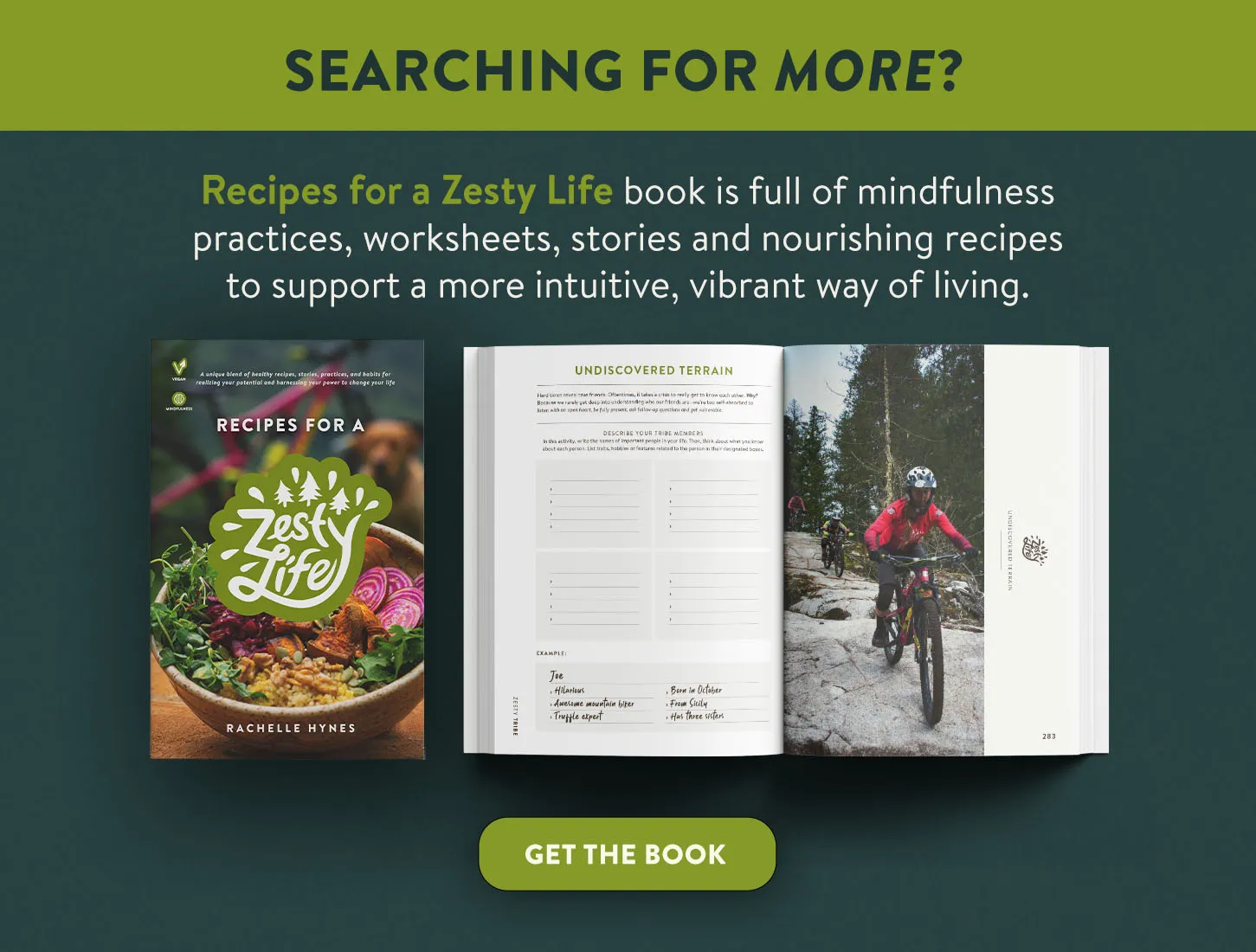 Recipes-For-A-Zesty-Life-healthy-living-worksheets-Wellness-Lifestyle-mindfulness_book