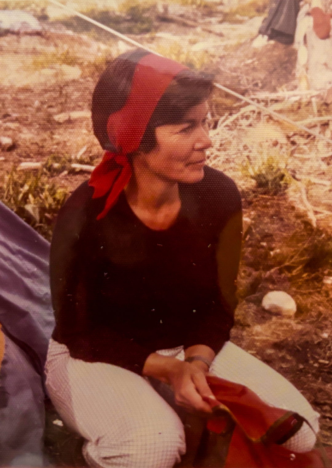 my-zesty-granny-prose