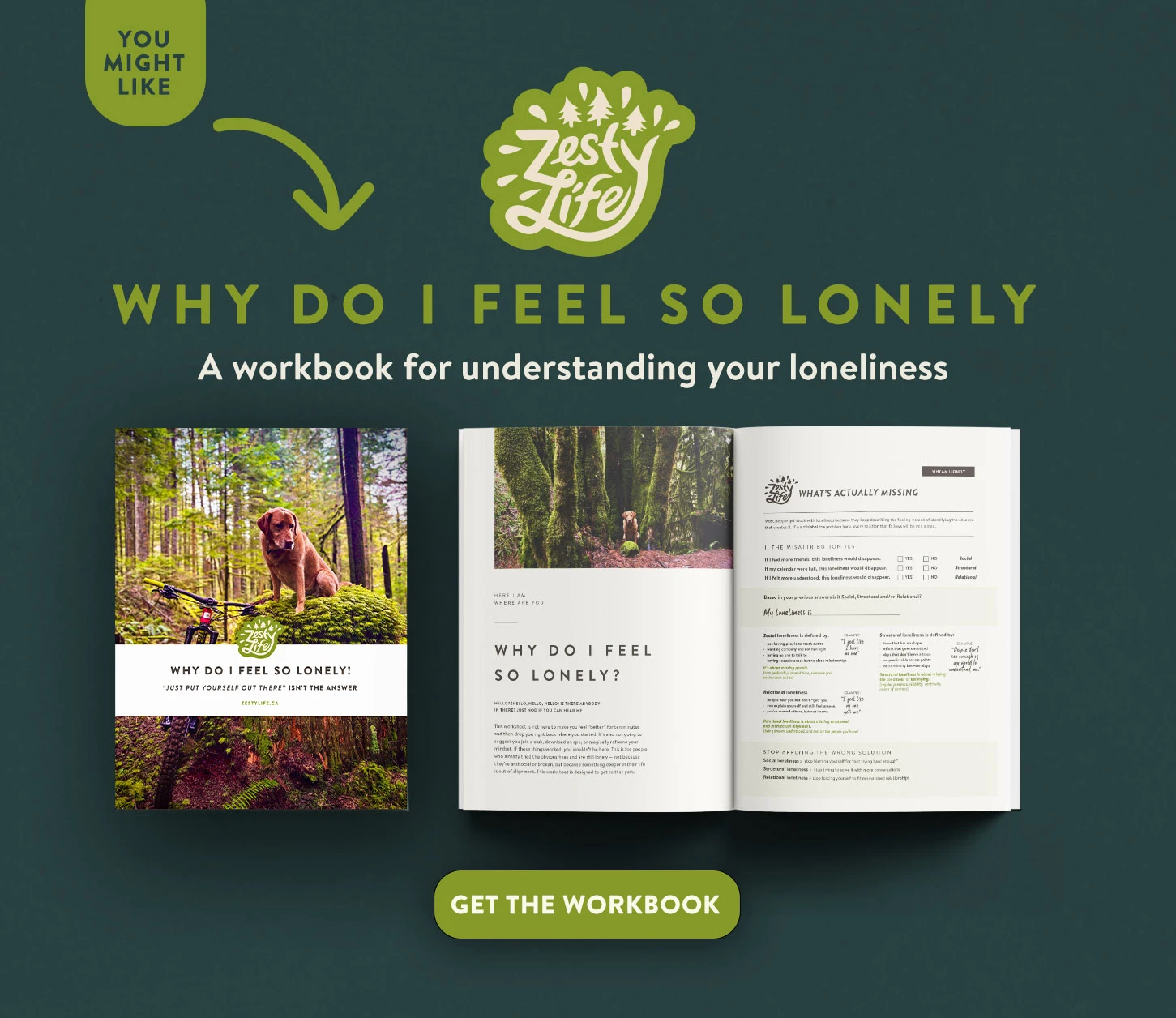 Why-Do-I-Feel-So-Lonely-loneliness-Workbook-Quiz-Zesty-Life-how-to-not-be-lonely