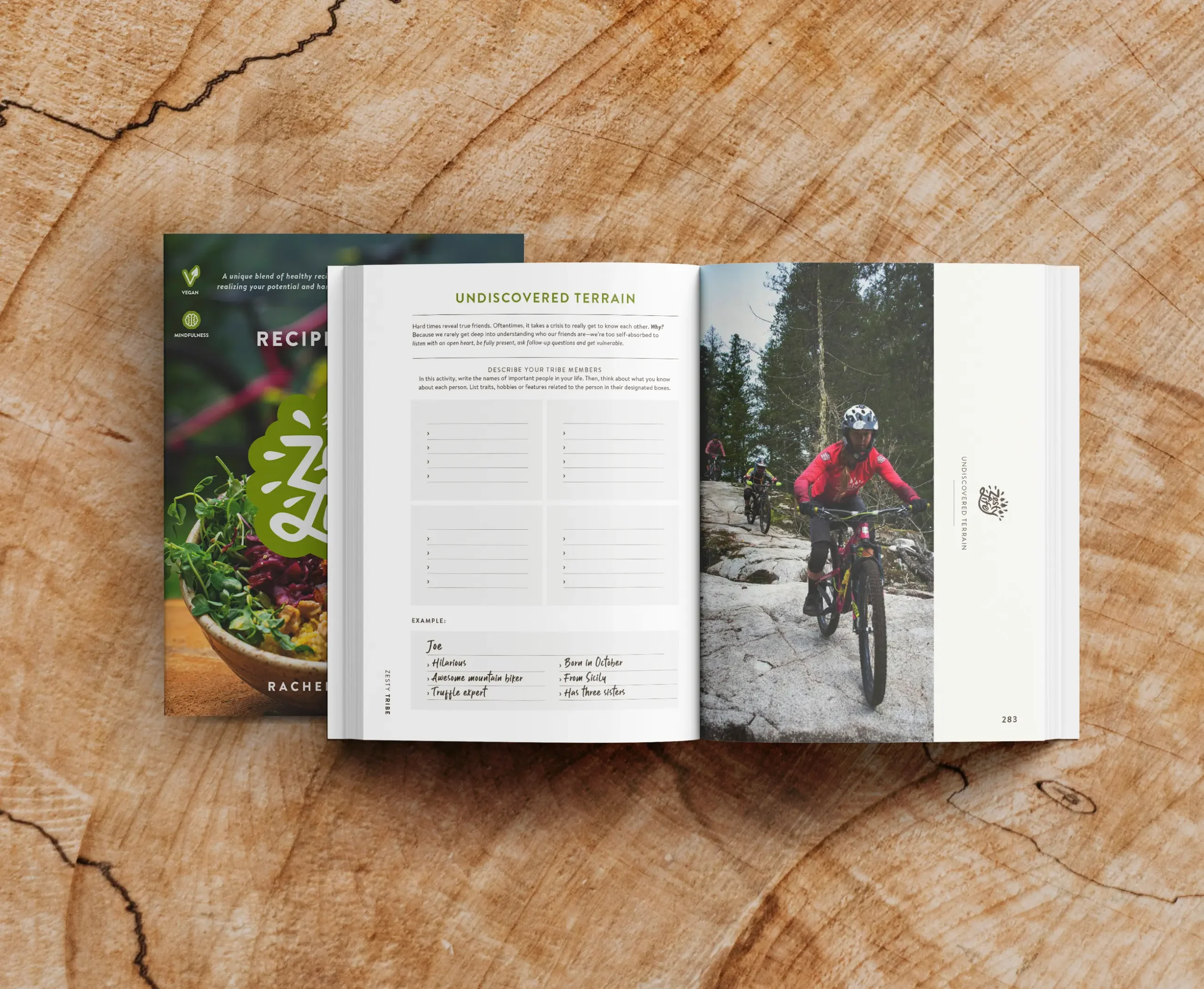 Recipes for a Zesty Life E-book - Image 2