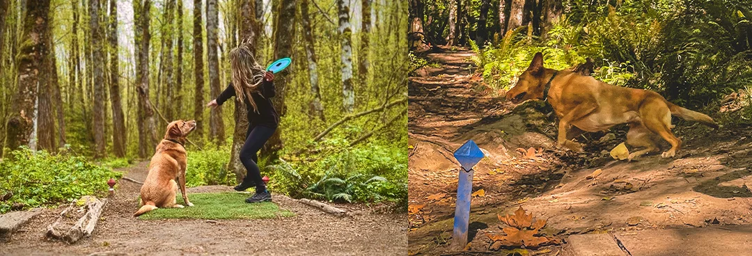 kula-and-the-mystery-of-the-flying-discs-zesty-life-disc-golf-squamish-rachelle